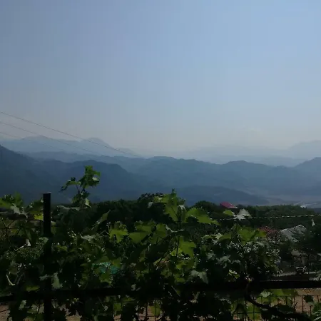 Mandi *