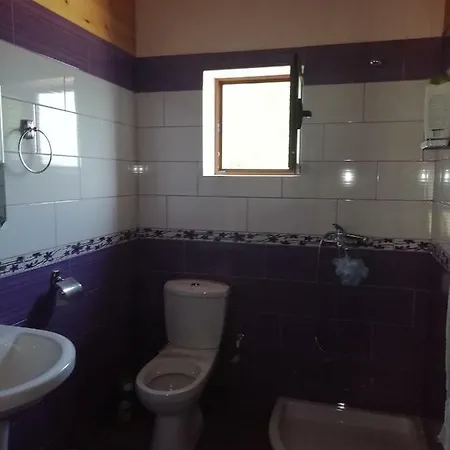 Guest house Mandi Biovizhde